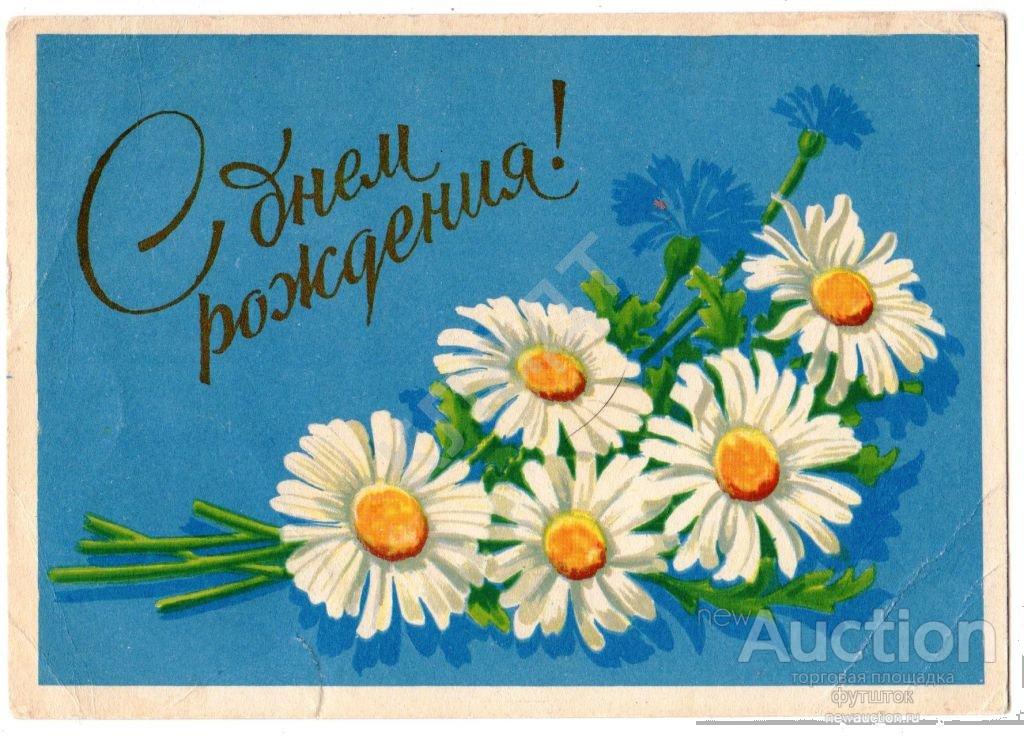 Открытки С Днем Рождения Ромашки