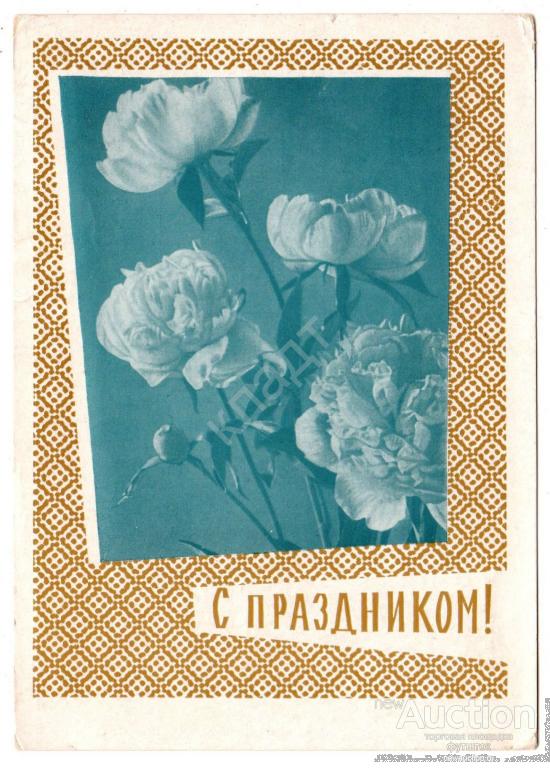 Круглов. С праздником!  Пионы. Редкий цвет. СССР.
