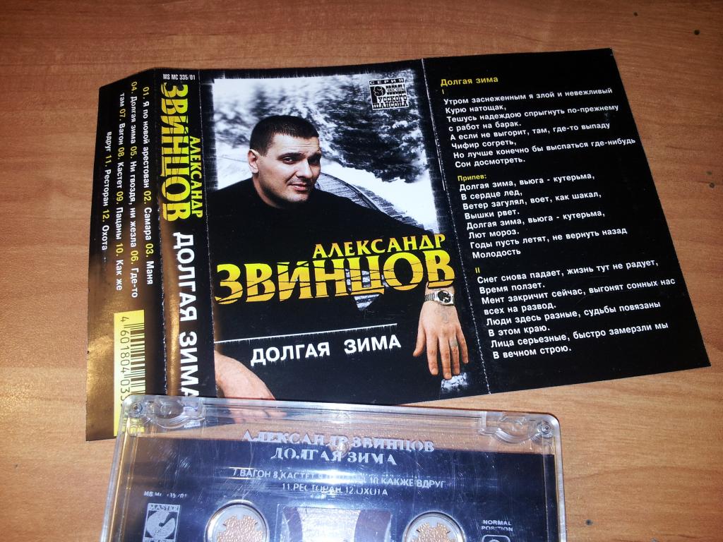метель. саша звинцов долгая зима. александр звинцов долгая. песня долгая зима александр звинцов. александр звинцов долгая.