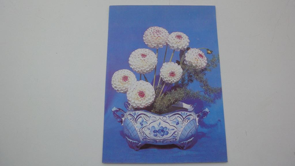 Открытка Суханова. цветы. чистая. 1992 год.