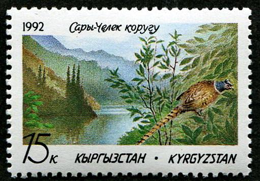 киргизия 1992 г фауна птицы фазан чист