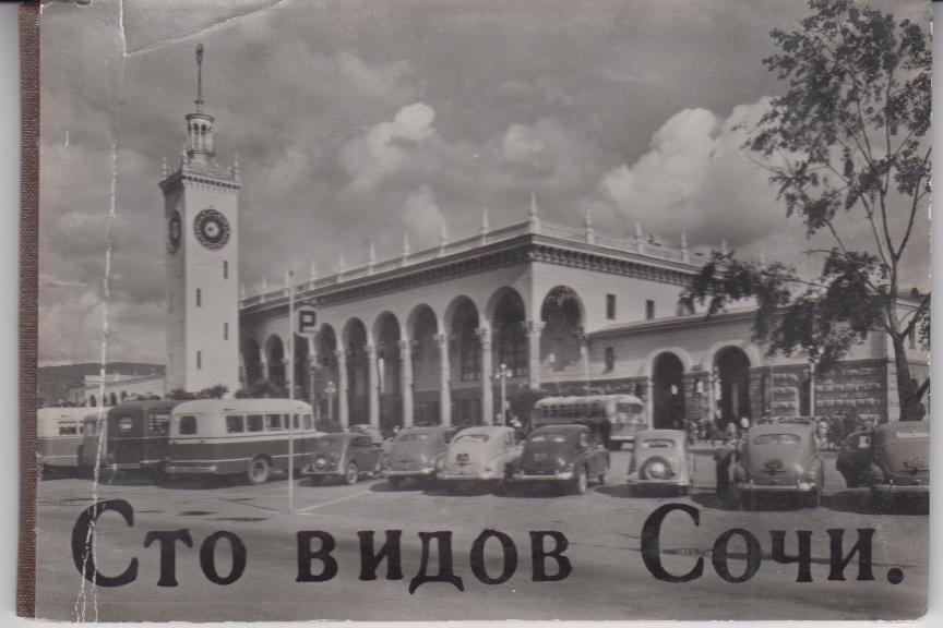100 видов