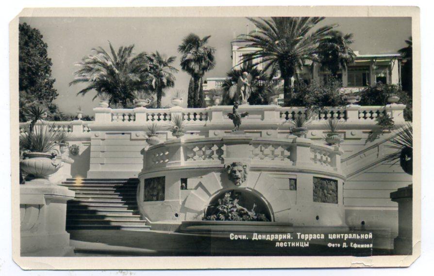 Кавказ Сочи Дендрарий Терраса центральной лестницы фото Ефимова 1951 год небольшие повреждения