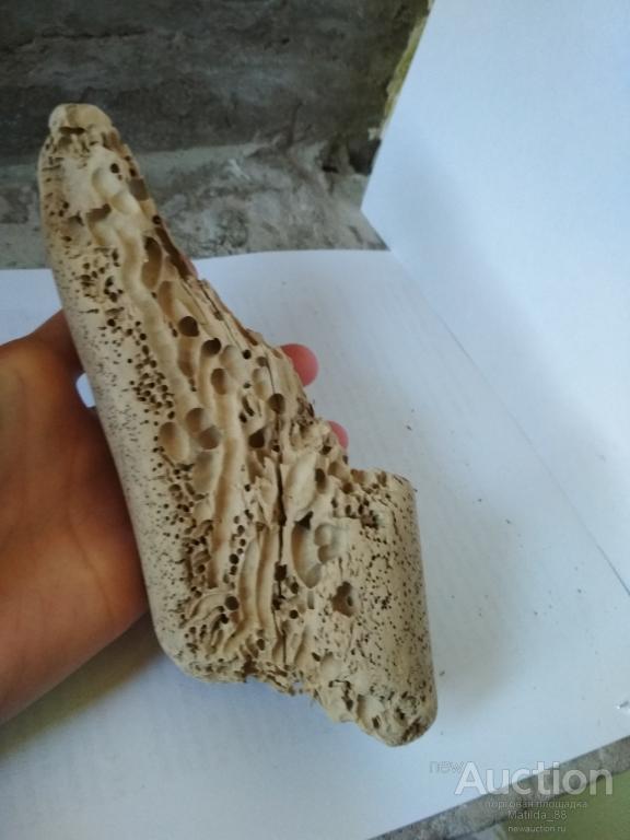 Коряга для аквариума дерево Сочи
