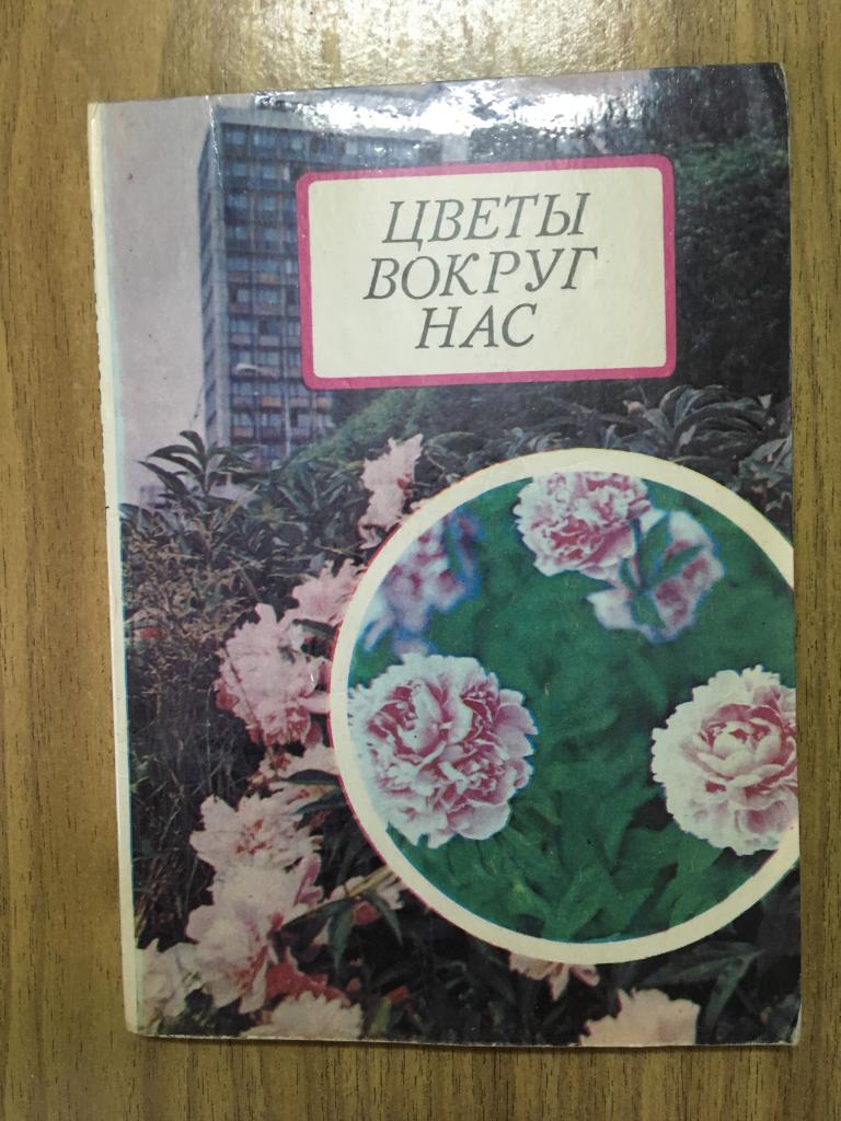 1982 г. Цветы вокруг нас. Озеленение. Ландшафтный дизайн. Уход за растениями. Многолетние растения.