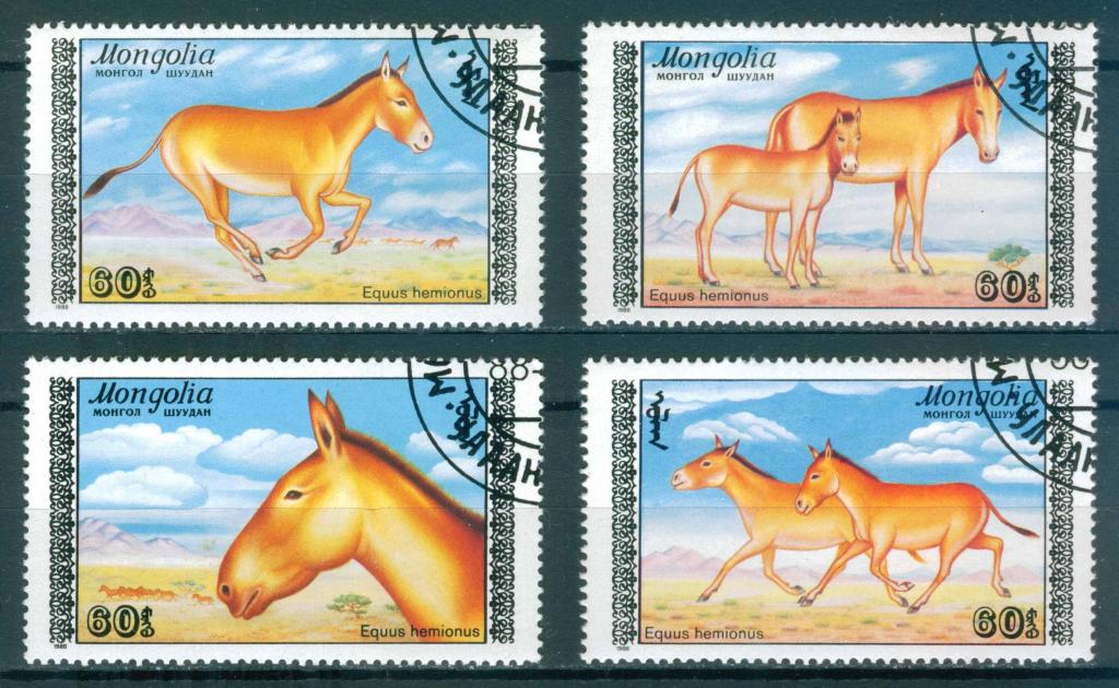 Монголия, 1988, Фауна, Куланы, полная серия
