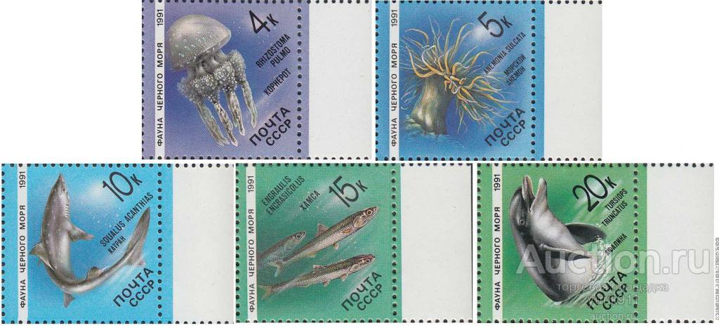СССР 1991 6279-83 Фауна моря поле **