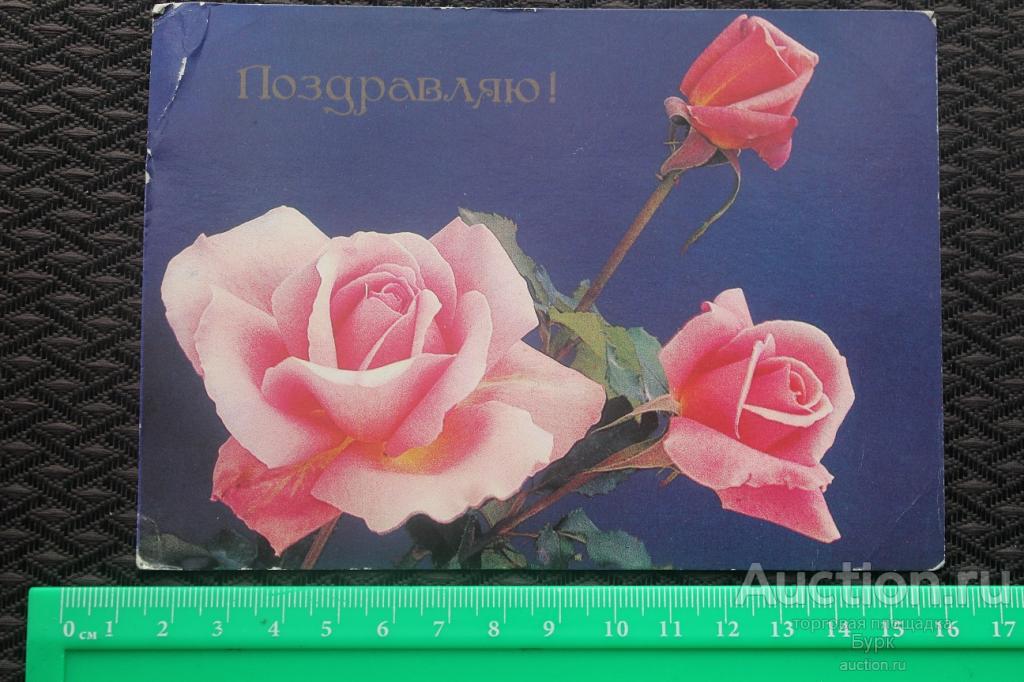 Розы Купить Книги Ссср
