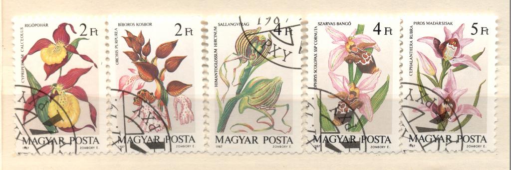 Венгрия 1987 г. серия "Цветы" гашеная