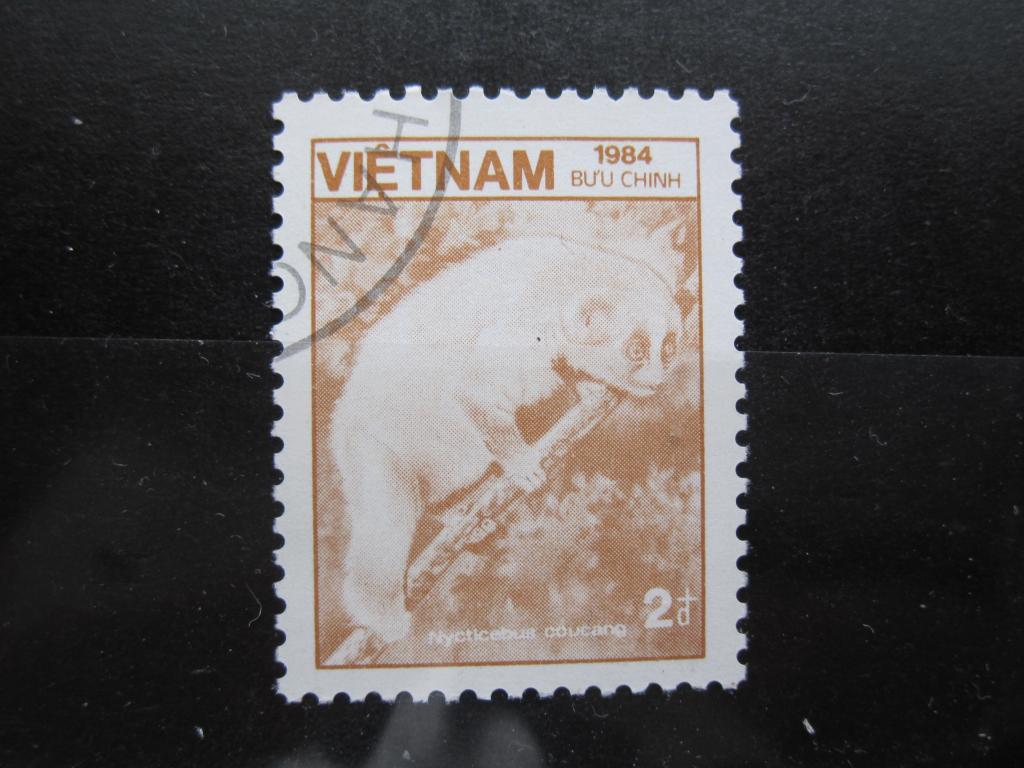 Вьетнам серия "Флора и фауна", Медленный лори