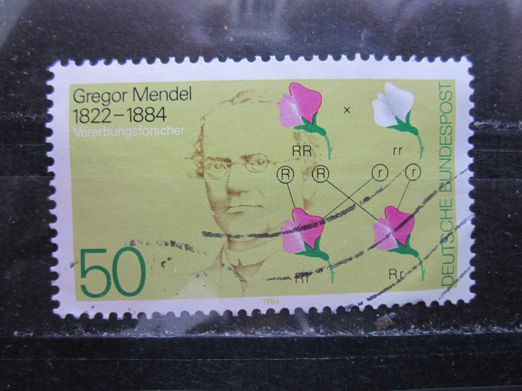 Германия  Столетие со дня смерти Грегора Менделя*