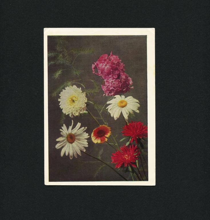 Открытка. 1970 г. Цветы. Подписана. фот Ю Левянта. #3146.