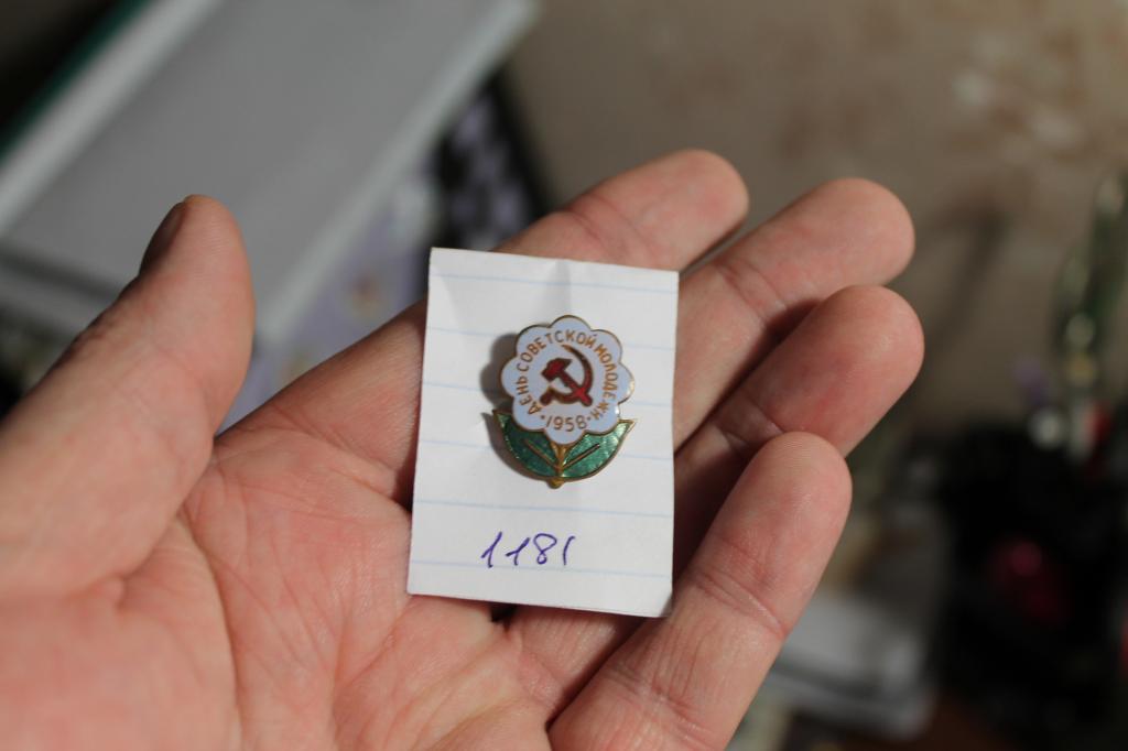 Знак День Советской  молодежи 1958 год  №1181