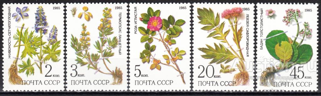 СССР 1985 лекарственные растения Mi5528-5532 MNH