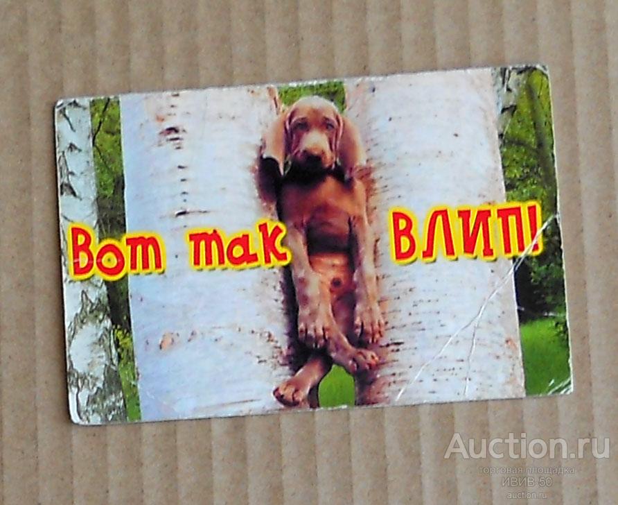 +  животные в рекламе  Вот так влип