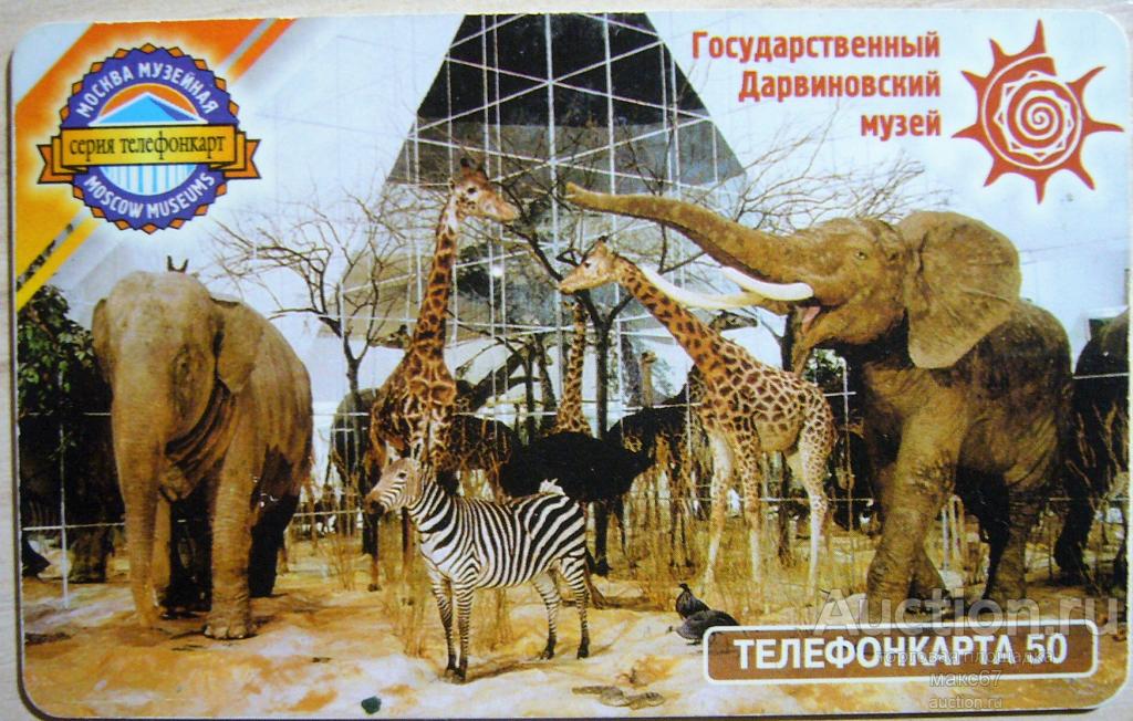 Дарвиновский музей на карте. Дарвиновский музей логотип. Дарвиновский музей лого. Карта Дарвиновского музея. Логотип Дарвиновский