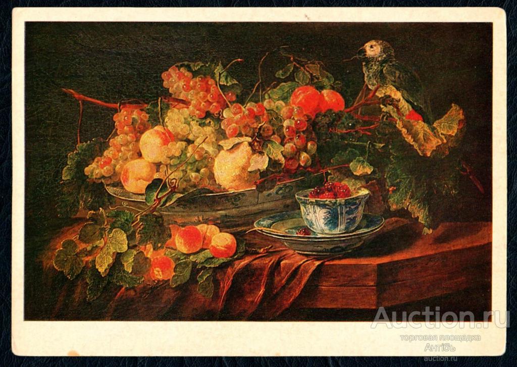 Живопись. Картина. Открытка. Ян Фейт. Фрукты и попугай. 1640-е годы. (Альбом № 9)
