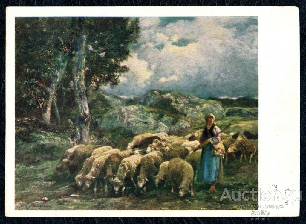 Живопись. Картина. Открытка. Шарль Жак. Стадо овец на водопое. (Альбом № 9)
