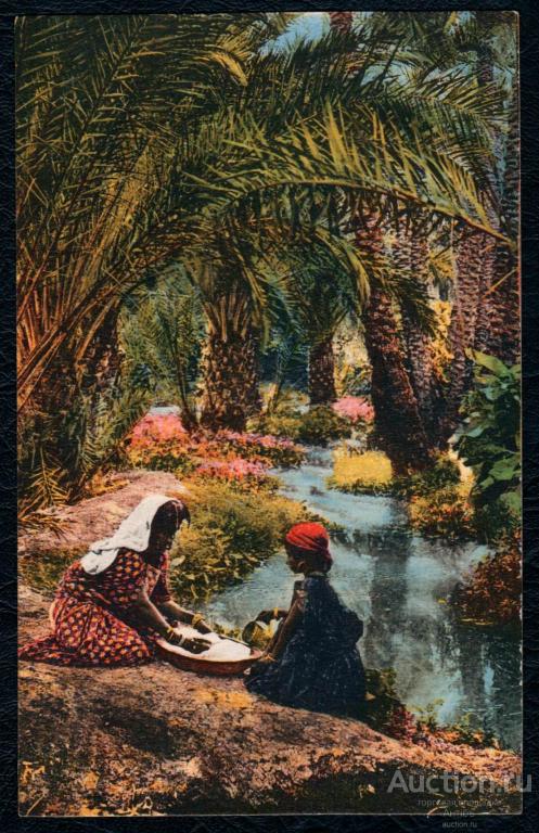 ФОТО открытка. Цветная. Арабы. Франция. Dans l'Oasis. В Оазисе. (Альбом № 8)