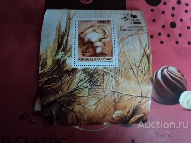 Марки.Чад.1996 г.Блок.Флора.Грибы.№ по Mi.блок 243 D.**