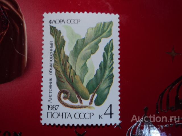 Марки.СССР.1987 г.Флора СССР. Папортники.Листовник обыкновенный.**