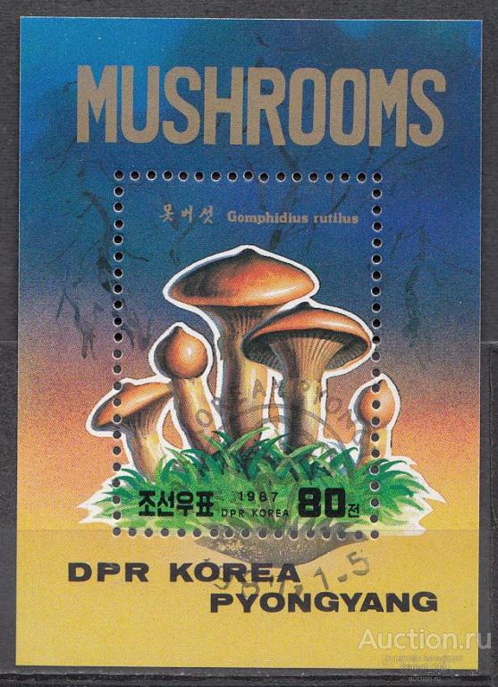 SALE! КНДР 1987 грибы СТО bbs2166 