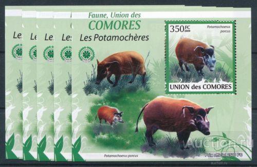 Коморы 2009 фауна кабанчики ** блок3 bl11 