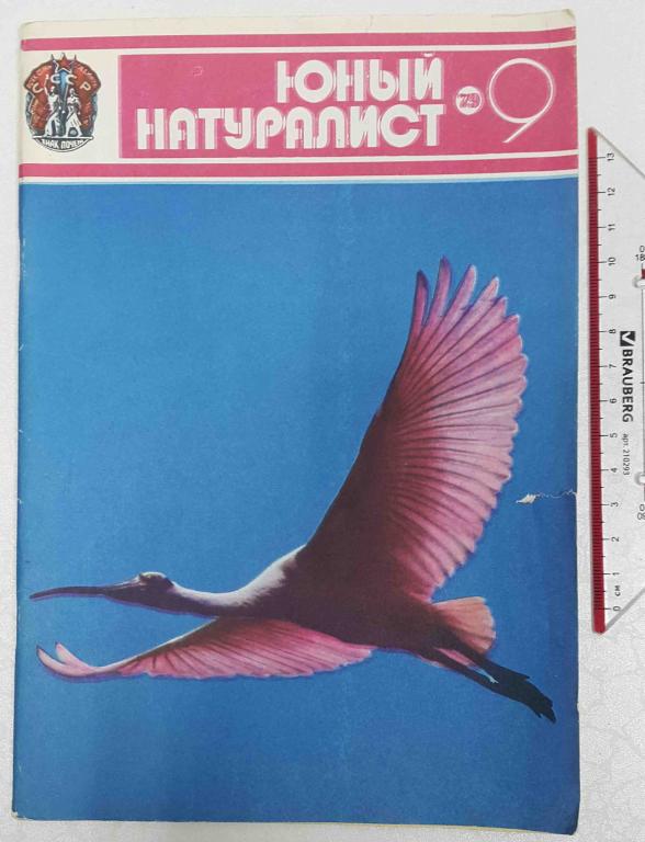 журнал Юный натуралист №9 1979 дети