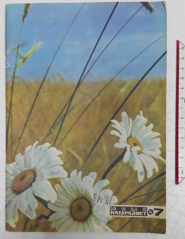 журнал Юный натуралист №7 1974 дети