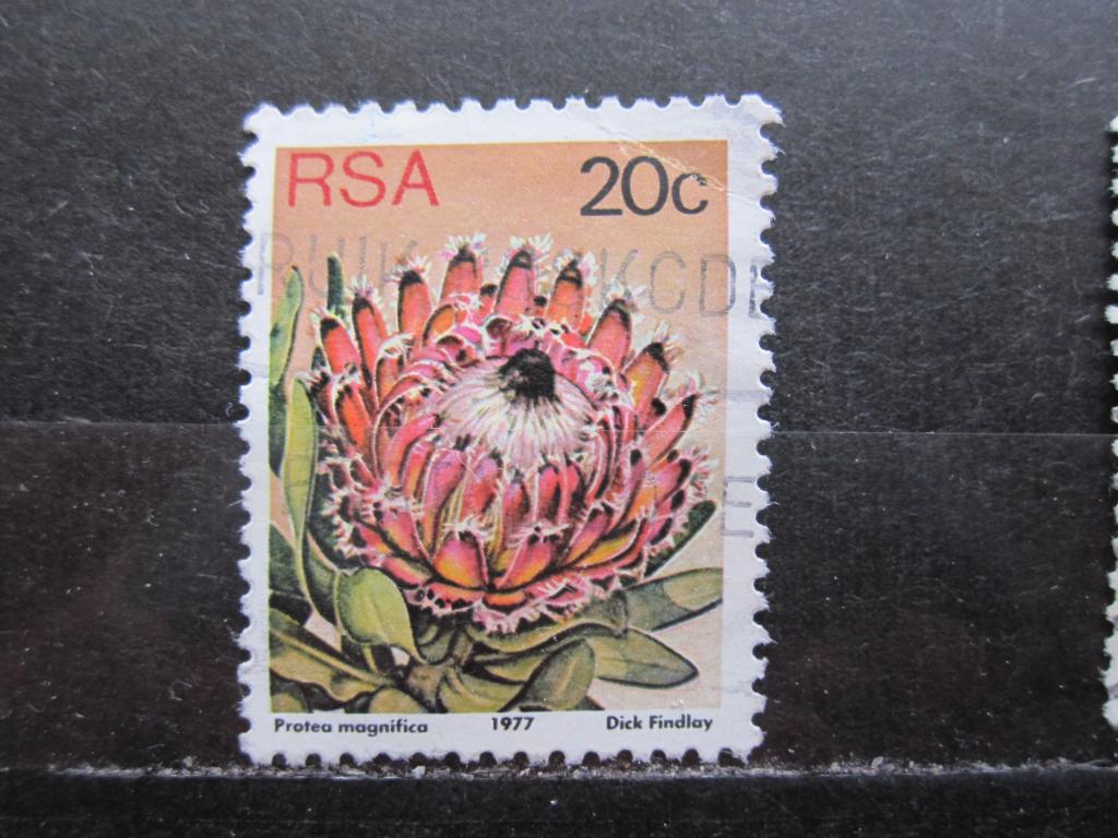 ЮАР серия  "Медоносы", Протея  королевская