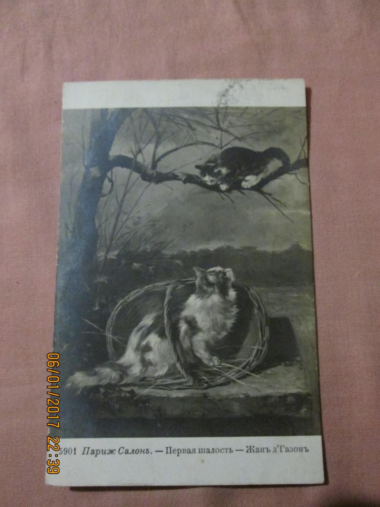 Владикавказ (открытка адресована из Терской области во Владикавказ в 1914 году).