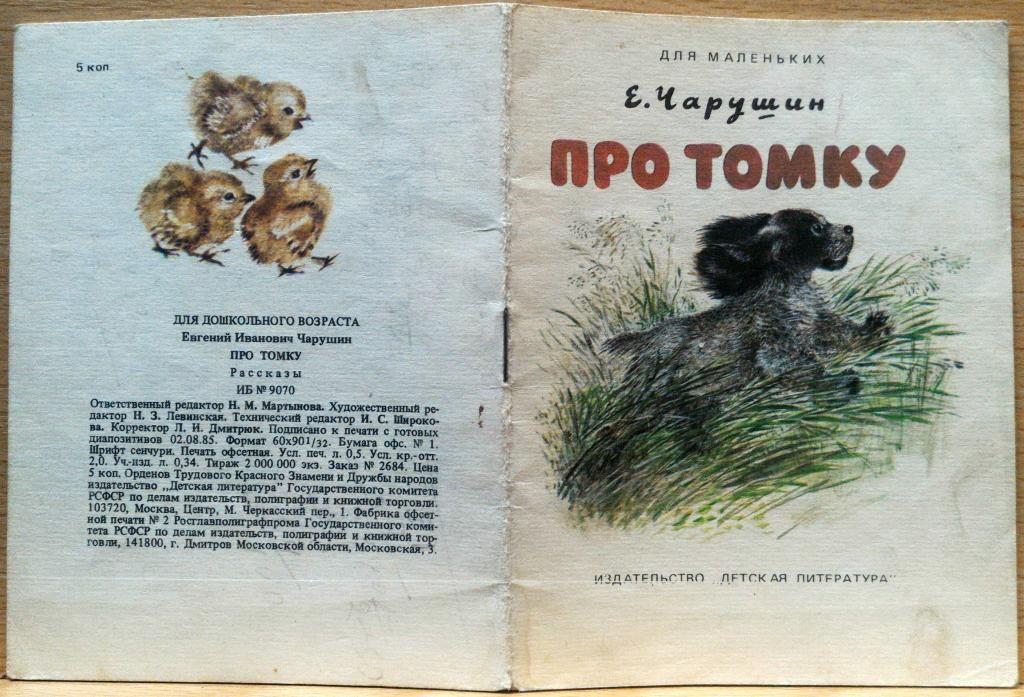 Томка чарушин план