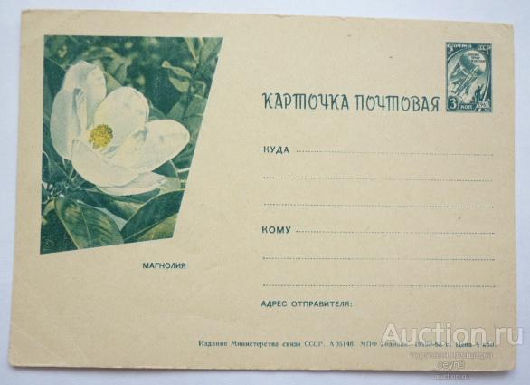 Карточка почтовая 1963г. Магнолия.