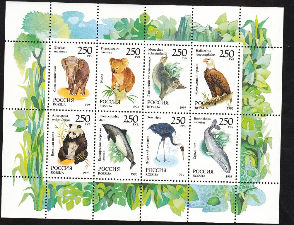 Марки  Россия  1993.  Малый  лист.  Фауна  мира.