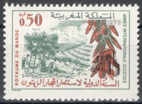 Марокко, 1970, № 677,  € 1, MNH, полн., международный год производства оливкового масла