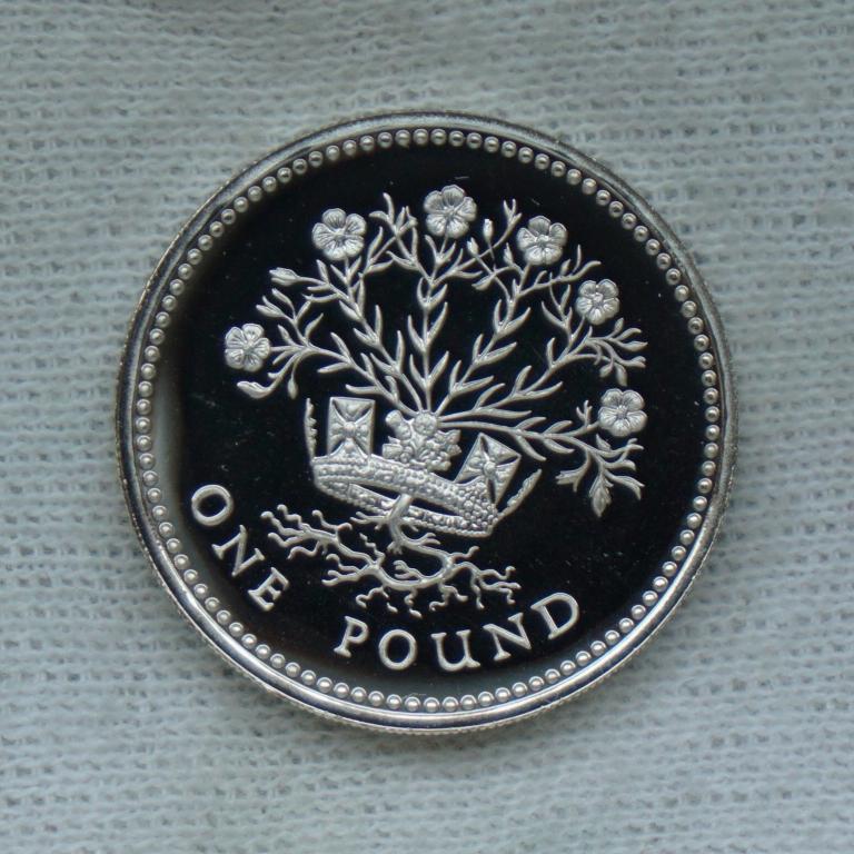 Великобритания. 1 фунт 1986 года. Серебро PROOF