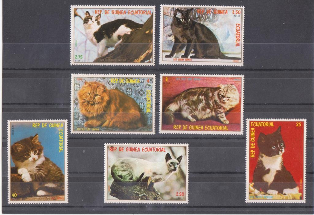 Экваториальная Гвинея 1978 г. Фауна Кошки MNH