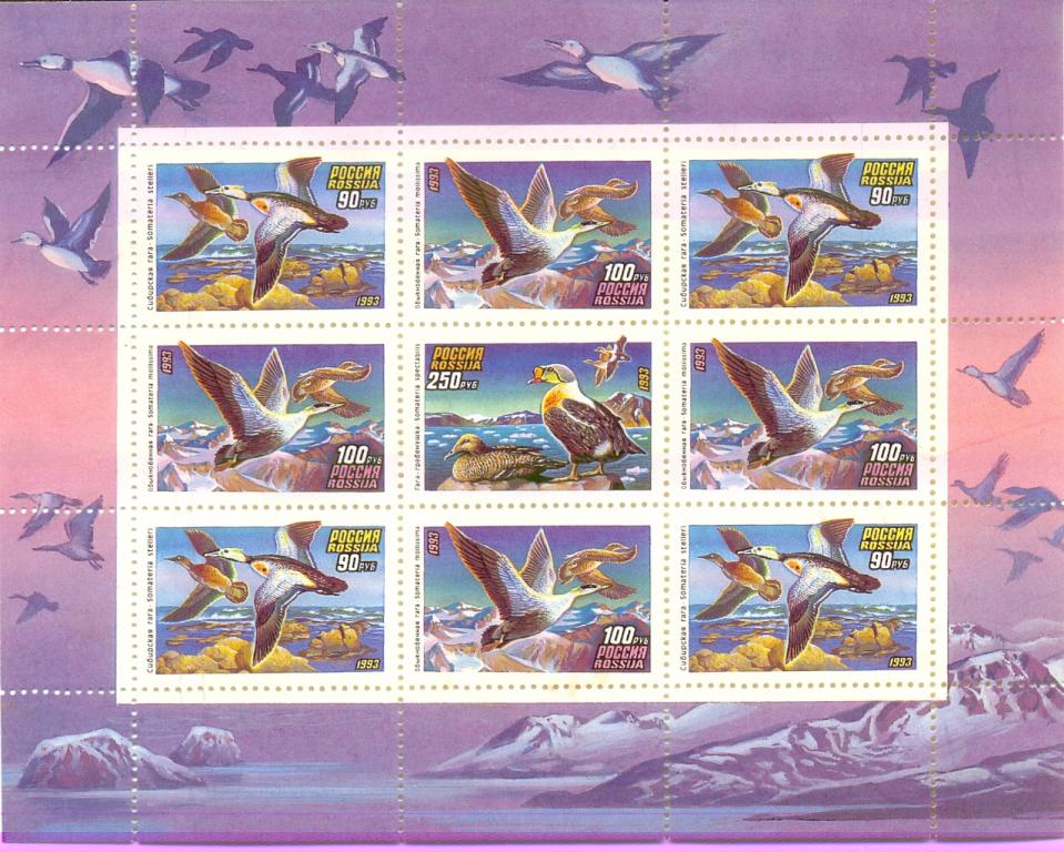 Марки Марки Россия 1993 г. № 101 - 103 Утки МЛ MNH** Фауна