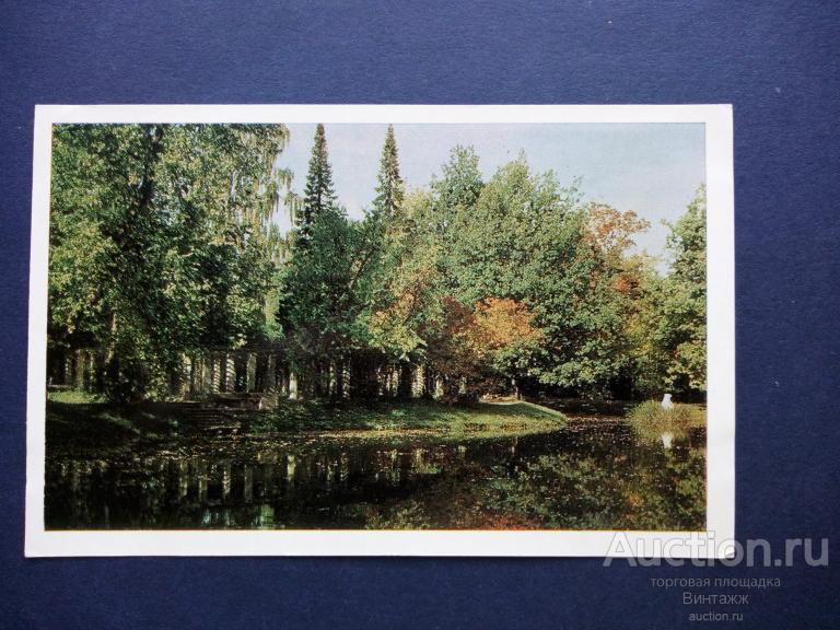 Открытка Ломоносов Беседка Пергола ЧИСТАЯ