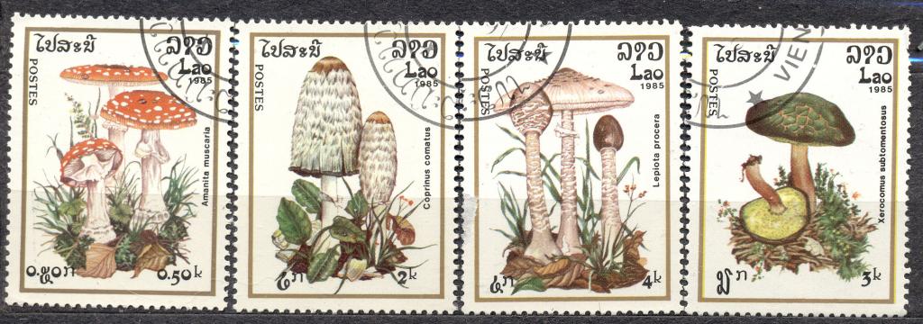 Лаос 1985 г. Флора Грибы гашеная