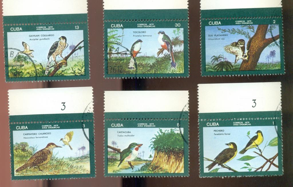 Куба 1976 г. Фауна Птицы 6 марок серии ГАШ