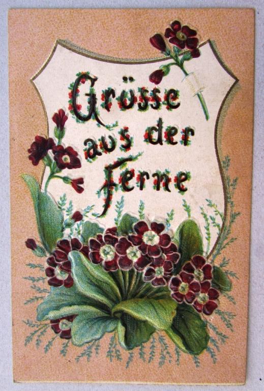 Примула Цветы Штемпель 1908