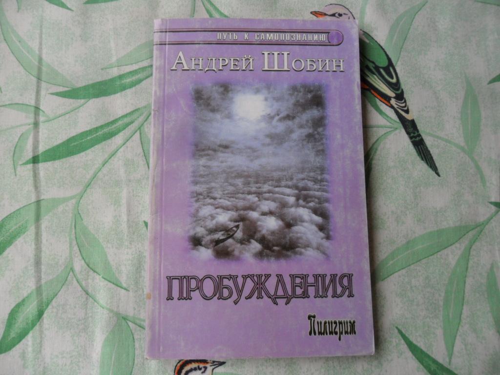 Пробуждения. Шобин Андрей. "Путь к самопознанию".