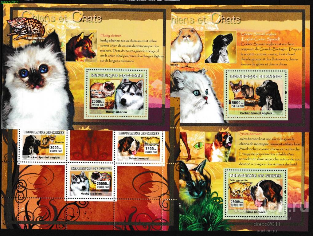 Гвинея 2007 Кошки Собаки Фауна  Домашние животные Кошачьи м/л+3бл**