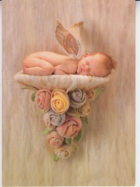anne geddes net worth