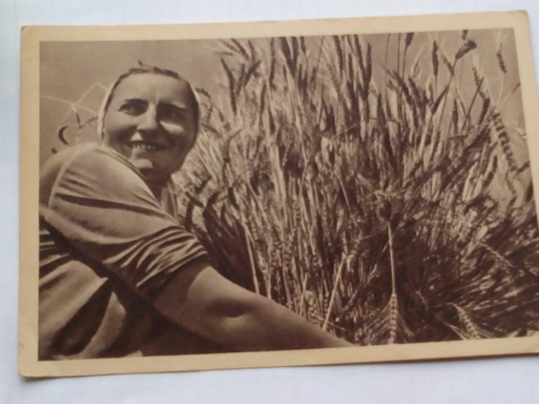 ОТКРЫТКА. ВСХВ. Богатый УРОЖАЙ. РЕКЛАМА .ХРАНИТЕ ДЕНЬГИ в СБЕРЕГАТЕЛЬНОЙ КАССЕ.ЧИСТАЯ