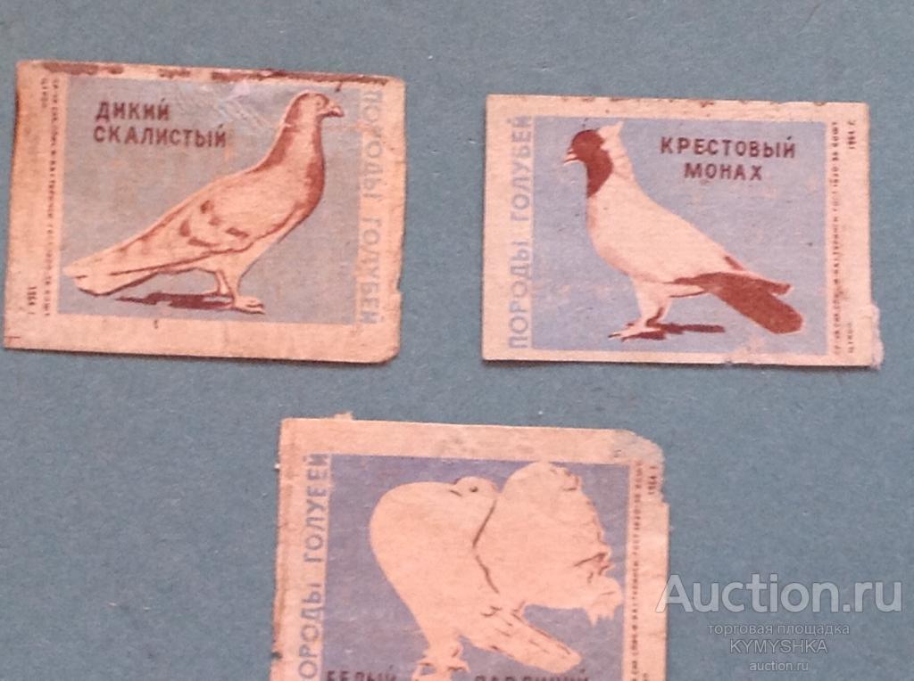 Спичечные этикетки СССР 1964 г породы голубей Туринск
