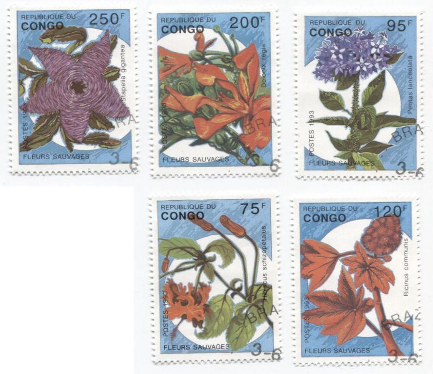 1993.Конго.Цветы.5 шт.гаш.