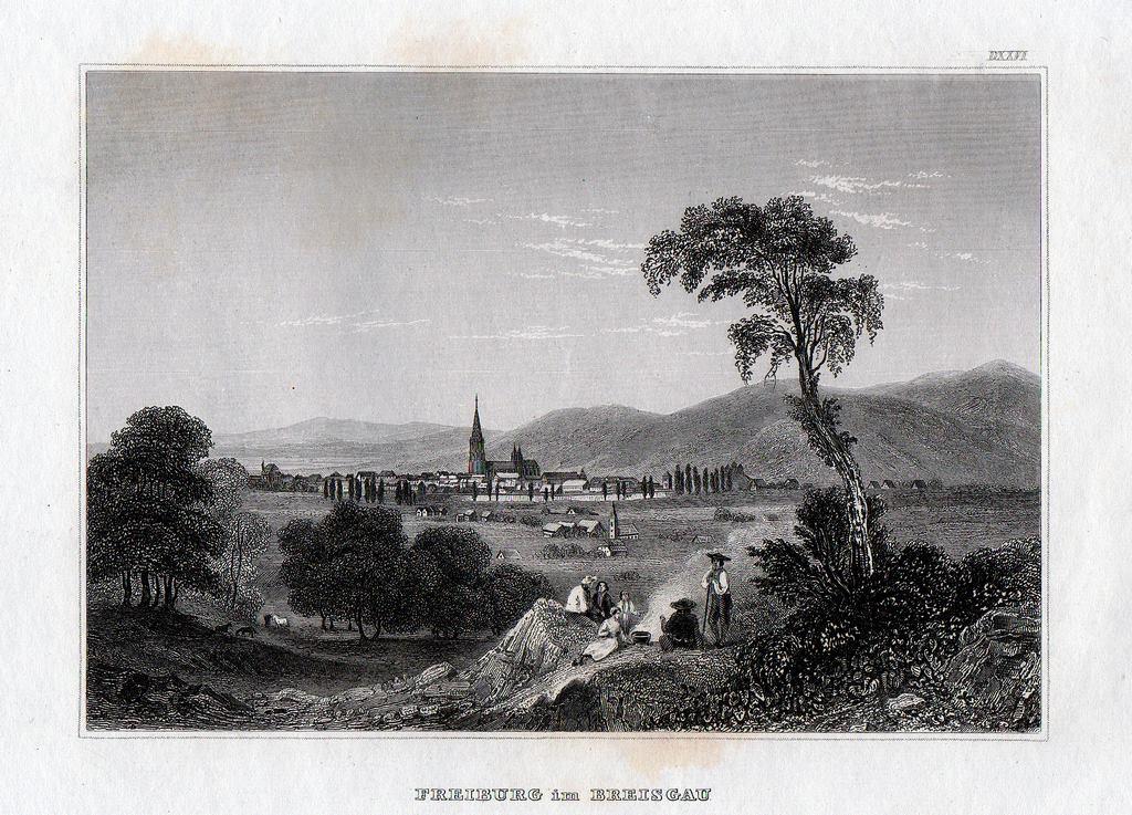 гравюра Германия г. Фрайбург-им-Брайсгау пейзаж 1848 г ориг. сост.