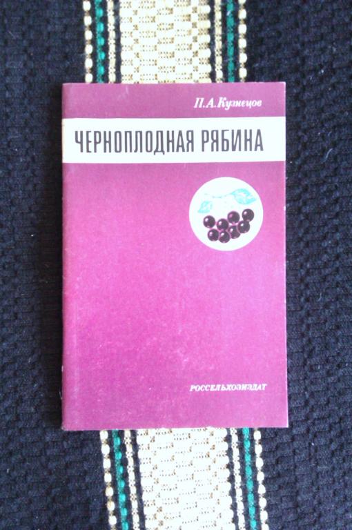 П. А. Кузнецов Черноплодная рябина